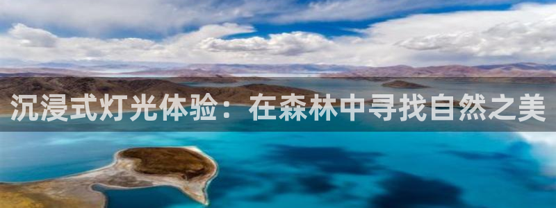 天顺娱乐柰困判p29999：沉浸式灯光体验：在森林中寻找自然之美