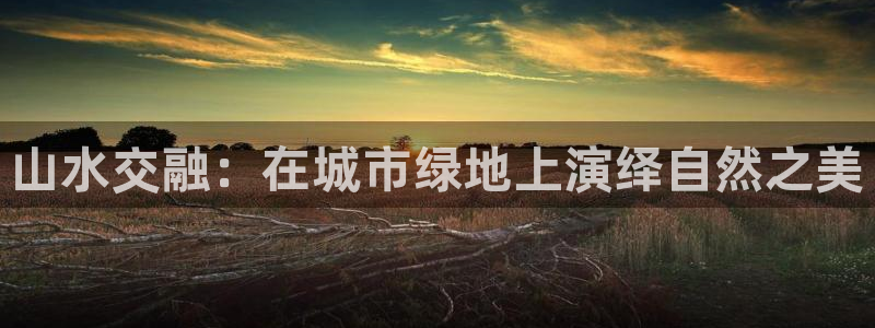 天顺娱乐负责人羊露pg22650