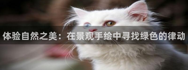 天顺娱乐是谁旗下