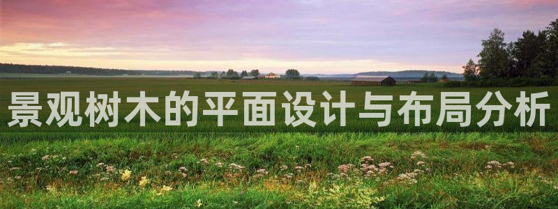 天顺娱乐亟72182：景观树木的平面设计与布局分析