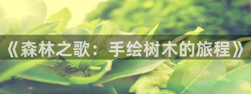 天顺娱乐鸟55312