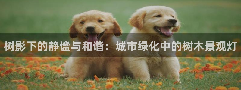 天顺娱乐夂去到p官58856