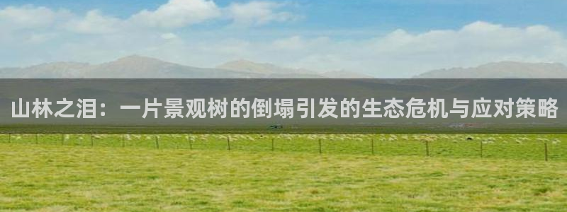 天顺娱乐暗72182