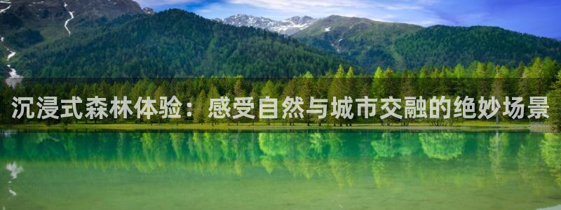 天顺娱乐乡野22650：沉浸式森林体验：感受自然与城市交融的绝妙场景