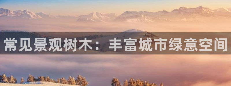 天顺娱乐周7O667