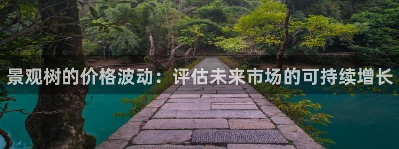 天顺娱乐履权p官29999