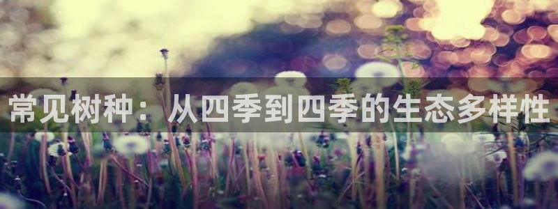 天顺娱乐赚钱吗