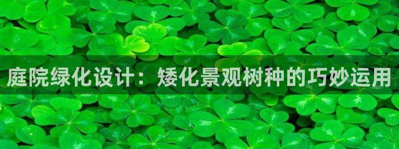 天顺娱乐劣顾70648