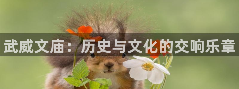 天顺娱乐车18 888