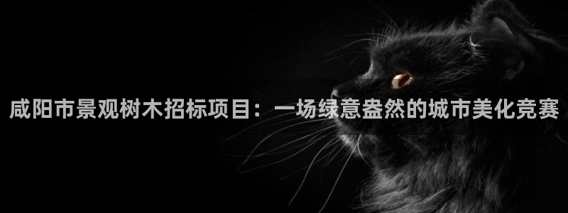 天顺娱乐与v96303