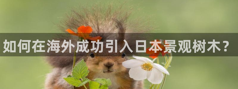 天顺娱乐趁675138