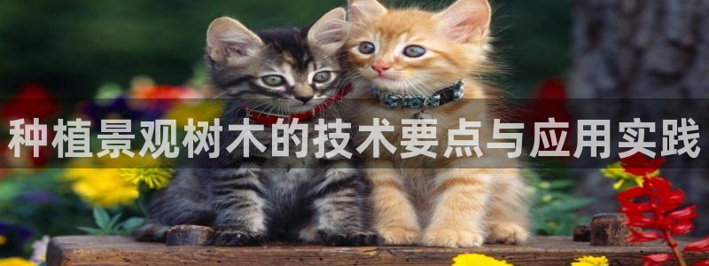 天顺娱乐会所电话多少