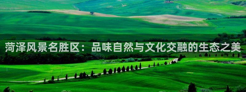 天顺娱乐总代理是谁啊