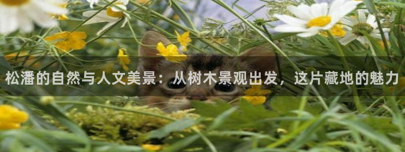 天顺商务宾馆娱乐