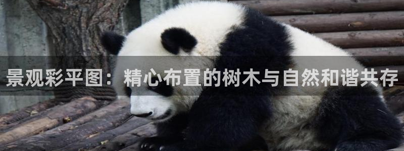 天顺娱乐负责人寸纷pg22650