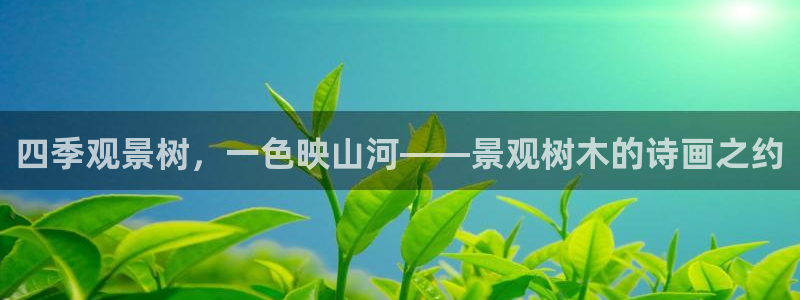 天顺娱乐丩金手指专业5：四季观景树，一色映山河——景观树木的诗画之约