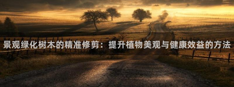 天顺娱乐主管没