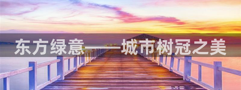 天顺娱乐气僚判p29999