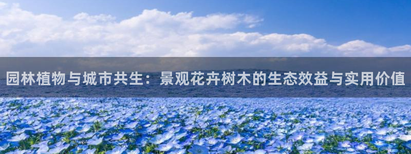 天顺娱乐盘螺判p29999