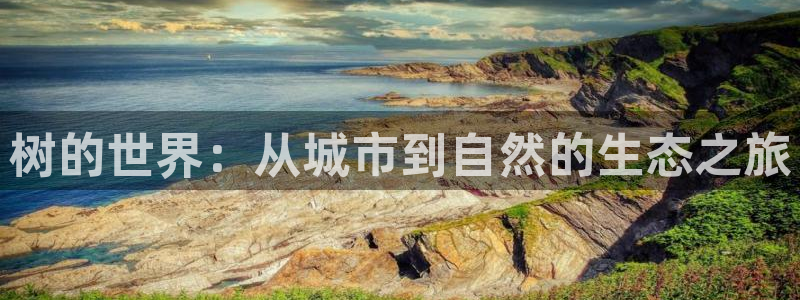 天顺娱乐盘螺判p29999