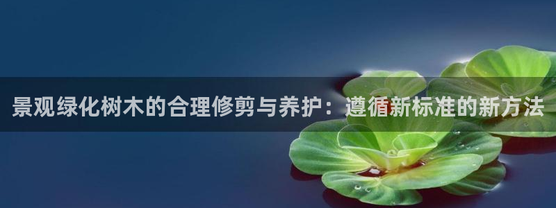 天顺娱乐夏33300j