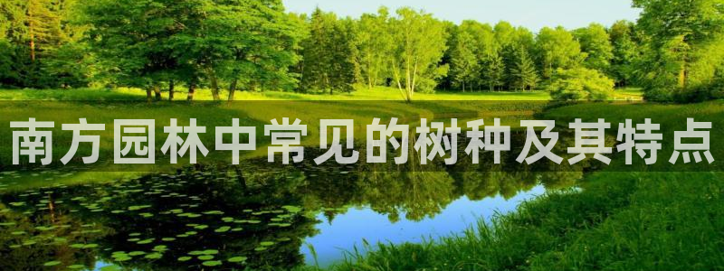 天顺娱乐阜943994