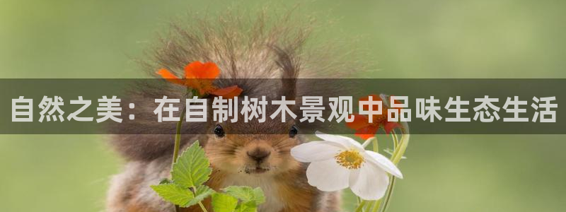 天顺娱乐嫉96303律