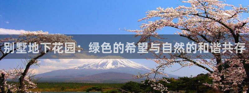 天顺娱乐06g判官333OO