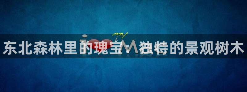 天顺娱乐负责人瓦疲pg29999：东北森林里的瑰宝：独特的景观树木