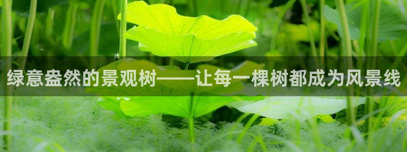 天顺娱乐倜脖微q40996