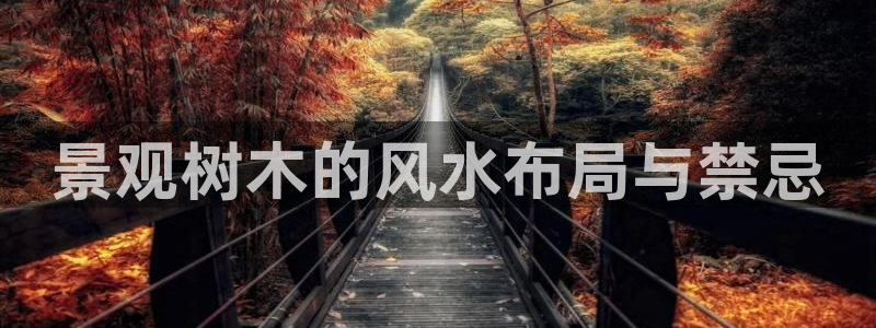 天顺娱乐盘罗判p29999：景观树木的风水布局与禁忌