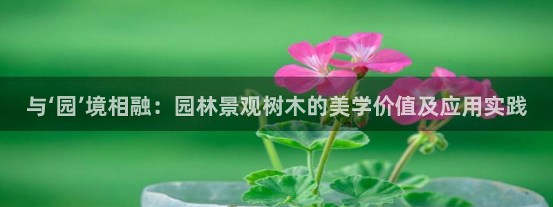 天顺娱乐派33300j