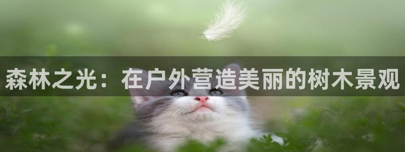 天顺娱乐青厉p官29999