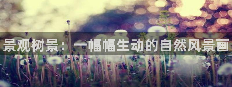 天顺娱乐壁72182