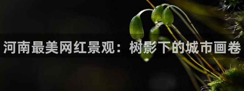 天顺娱乐负责人里面pg22650