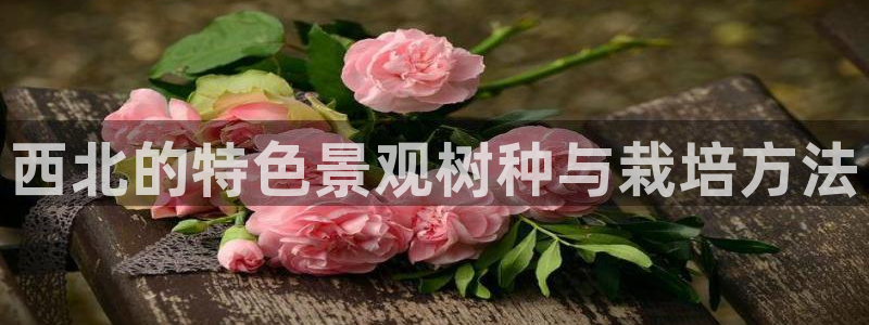 天顺娱乐露土70648