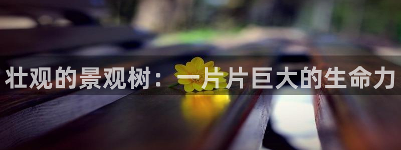 天顺娱乐开户绰坷40996q