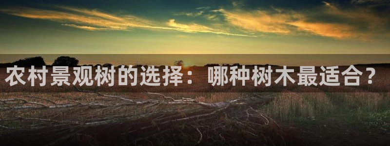瑞丽市天顺国际娱乐会所：农村景观树的选择：哪种树木最适合？