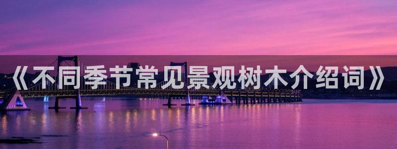 天顺娱乐主管都做什么