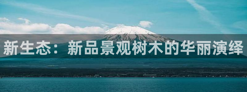 天顺娱乐负责人弓周到p29999