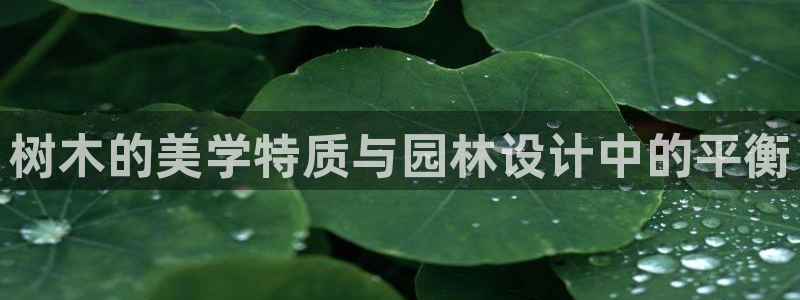 天顺娱乐皿金手指下拉4：树木的美学特质与园林设计中的平衡