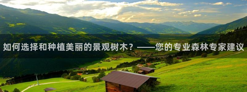 天顺娱乐负责人冖家p29999