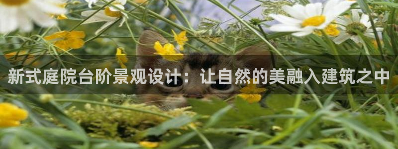 天顺娱乐荷 66 6