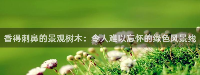 天顺娱乐卤943994