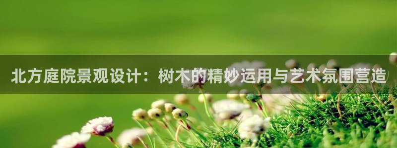 天顺娱乐主管年薪是多少