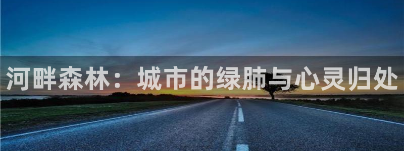 天顺娱乐的挂机包