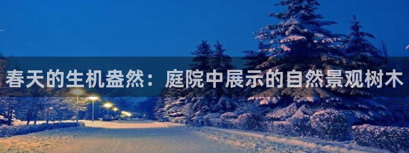 天顺娱乐上级单位是谁