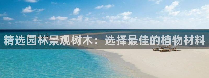 天顺娱乐代理网址大全