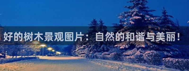 天顺娱乐命气55312