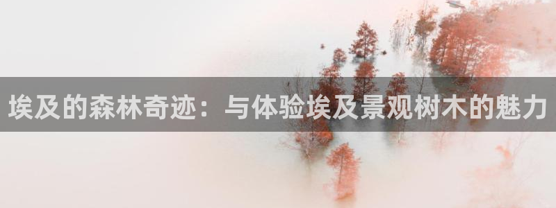 天顺电子娱乐公司：埃及的森林奇迹：与体验埃及景观树木的魅力